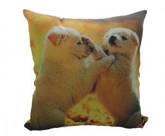 Decorative Pillow, Digital Printing Sofa Cotton Cushion Cover