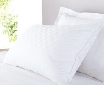 100% Cotton  zippered Pillow protector