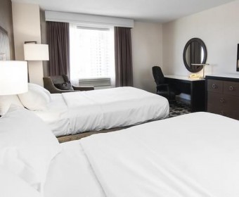 100% Cotton T250 White Sheraton hotel bedding set/Pillow/Pillowcase,hotel shams