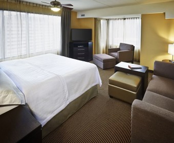 100% Cotton T250 White Hilton hotel bedding set/Pillow/Pillowcase,hotel shams