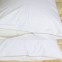 100%  bamboo Zippered Water proof Pillow protector