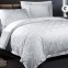100% cotton Check White Bedding Sets/Jacquard Bed Sheets/Dobby Sheets