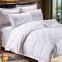 100% cotton Check White Bedding Sets/Jacquard Bed Sheets/Dobby Sheets