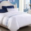 100% Egyptian cotton Percale T300 Thread Count  embroidery hotel bed sheets
