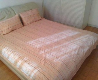 Pure Cotton T205 twill printed bed sheet set, Reactive Printed, Hypoallergenic duvet cover and pillowcase set